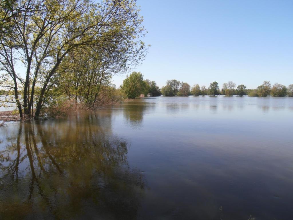 Chateau Sainte Marie Hotel Dompierre-sur-Charente Екстериор снимка