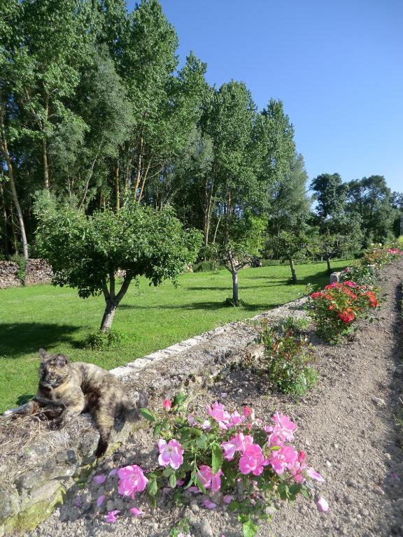 Chateau Sainte Marie Hotel Dompierre-sur-Charente Екстериор снимка